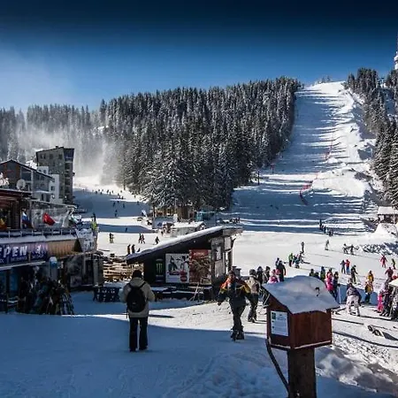 Daire Kris 513 Free Pool & Pamporovo